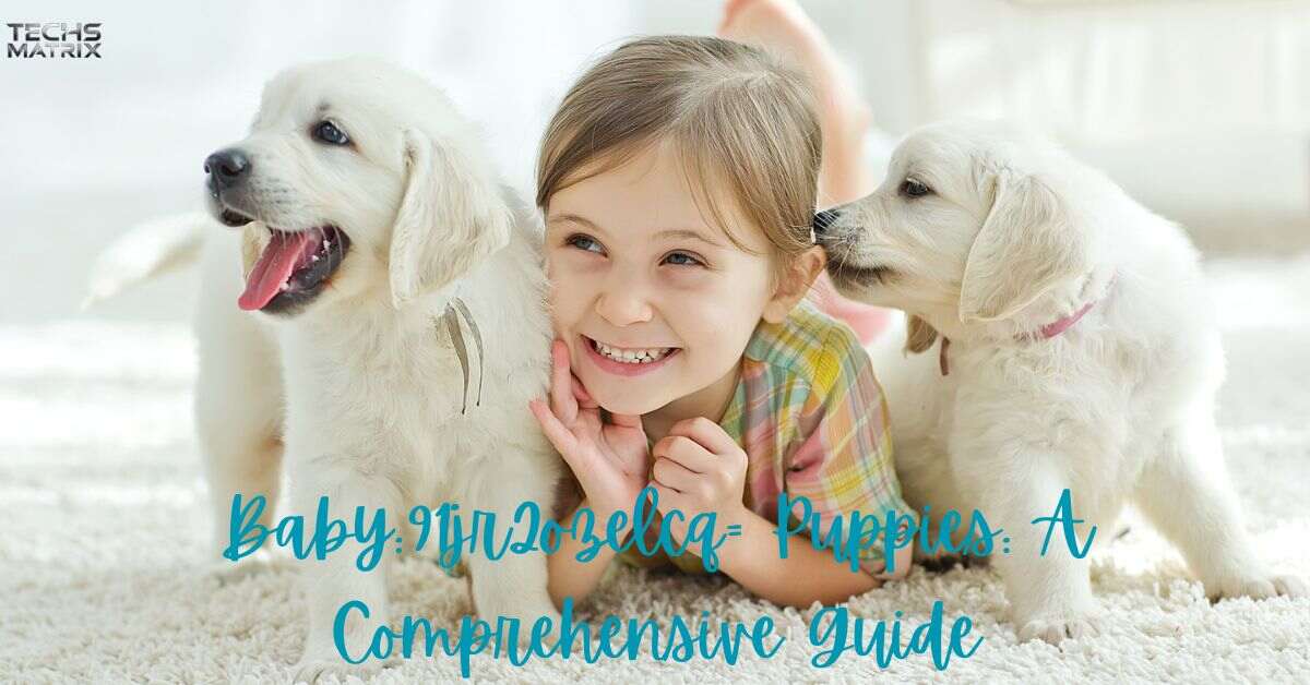 Baby91jr2ozelcq= Puppies A Comprehensive Guide