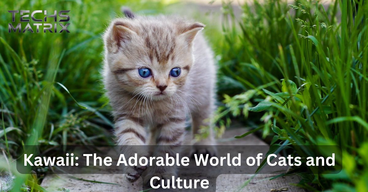 Kawaii: The Adorable World of Cats and Culture