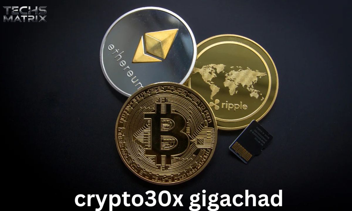 Crypto30x.com Gigachad Master Trading Success