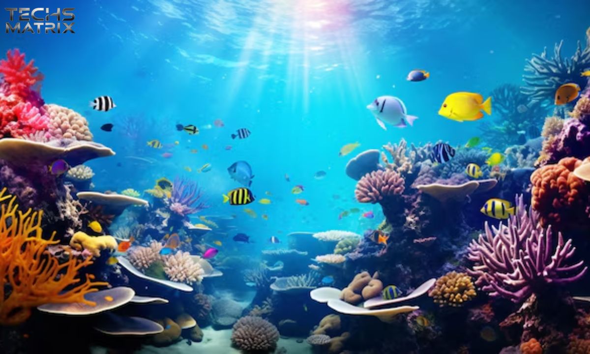 Cutedvql5n9v310= Fish A Dive into the World of Aquarium Beauties